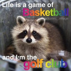 a raccoon sitting in a bucket with the words life is a game of basketball and i'm the golf club