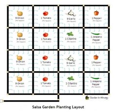 the salsa garden planting layout is shown