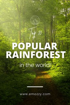 Top 10 Largest & Popular Rainforests in the World Rainforest Deforestation, Tourist Agency, Best Flights, Fitness Bodybuilding, Alam Yang Indah, Nature Design, Vacation Destinations, Travel Experience, Natural World