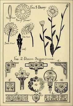 an old book page with flowers and other things in black ink on white parchment paper