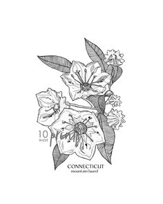 a black and white drawing of flowers with the words connecitut on it