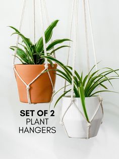 two hanging planters with plants in them and the text set of 2 plant hangers