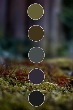 Palette of colors of the forest, green moss.  The colors of the cool, humid forest are green, brown, mustard. Bronze Green Color Palette, Moss Colour Palette, Dark Forest Green Color Palette, Goblin Core Color Palette, Moss Green Palette, Celtic Color Palette, Rich Green Color Palette, Swamp Color Palette, Earthy Green Color Palette