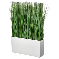 a white planter filled with lots of green grass