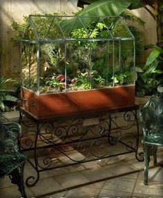 there is a small garden in the glass case