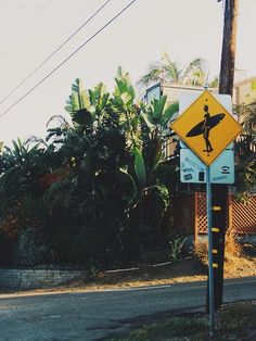 a yellow and white street sign sitting on the side of a road next to a palm tree