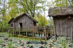 two wooden buildings with grass roofs and water lilies