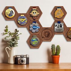 a bunch of badges are hanging on the wall next to a potted cacti