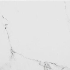 Porcelanosa Marmol Carrara Blanco 12x24 Best Bathroom Designs, Tile Kitchen, Shower Walls, Small Places, Tile Ideas, Bath Shower