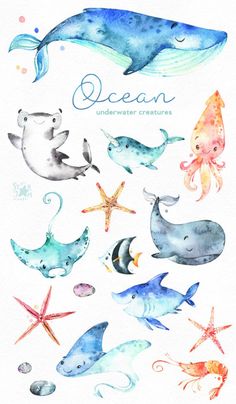 watercolor illustrations of sea animals and their names