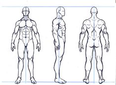 an image of a man's body and torso in three different positions, including the upper