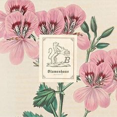 pink flowers with green leaves in front of a sign that says bummerhouse on it