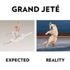 an image of a dog that is jumping in the air next to a photo of a ballerina