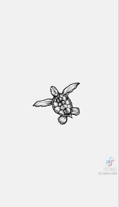 a black and white drawing of a turtle