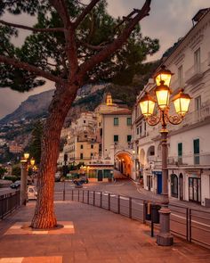 a street light sitting next to a tree on the side of a road with buildings in the background