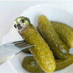 a close up of a plate of pickles with a fork stuck in it and a sloth on the side