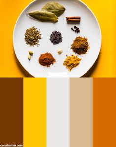 a white plate topped with different types of spices and seasoning on top of a yellow table