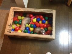 a box filled with lots of balls on top of a wooden floor