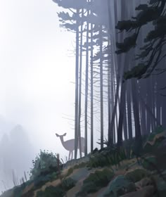 a deer standing in the middle of a forest on a foggy day with tall trees