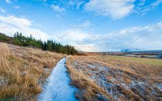 a snow covered path in the middle of a field with tall grass and trees on either side