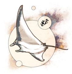 a drawing of a manta ray with the number 80 on it's tail