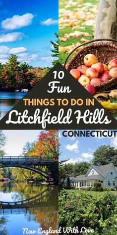 the words 10 fun things to do in litfield hills, connections