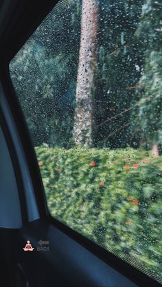 rain is falling on the windshield of a car as it drives down a tree - lined road