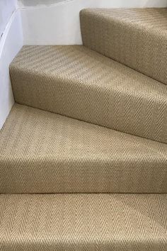 a cat sitting on top of some carpeted steps next to a wall and door