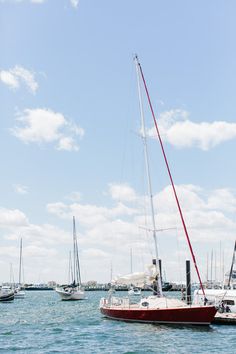 several sailboats floating in the water on a sunny day