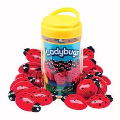 ladybugs are scattered around a plastic container