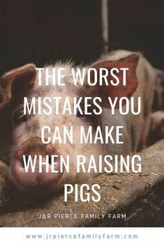 a pig laying on top of a wooden log with the words, the worst mistakes you can make when raising pigs