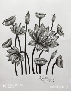 black and white drawing of flowers on paper