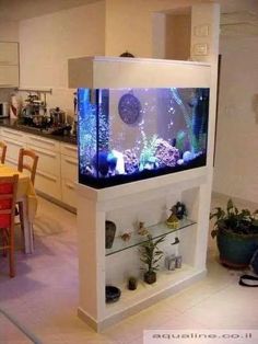 a fish tank sitting on top of a white shelf in a kitchen next to a dining room table