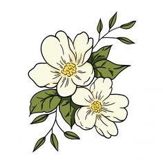 three white flowers with green leaves on a white background, hand drawn in pen and ink