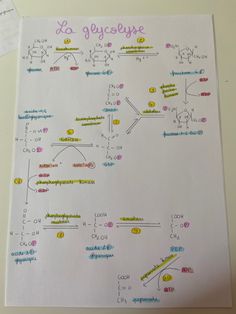 a sheet of paper that has some type of diagram on it with words and symbols