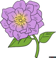 a purple flower with green leaves on it