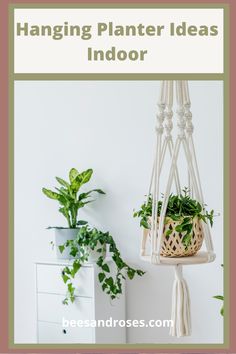 hanging planter ideas for indoor plants with text overlay that reads hanging planter ideas indoors