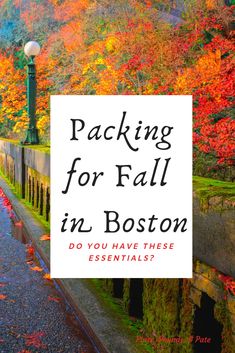 fall foliage with the words packing for fall in boston do you have these essentials?