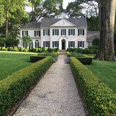 a large white house surrounded by lush green trees and bushes in front of the house