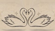 two swans making a heart shape with their necks