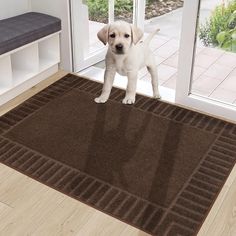 a puppy standing on a door mat in front of a glass door with its paws up