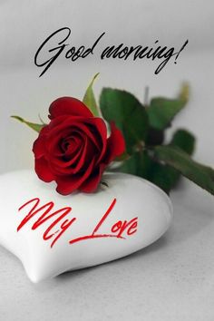 a red rose sitting on top of a white heart with the words, good morning my love