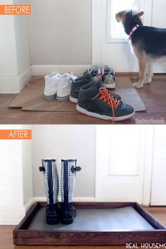 a dog standing on top of a wooden floor next to shoes and a tray with them