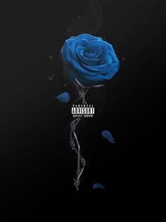 a blue rose is floating in the air