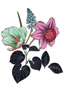 three flowers with green leaves and one pink flower on the left side, against a white background