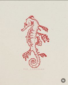 a red ink drawing of a seahorse on a white paper with the words fizlosman written below it