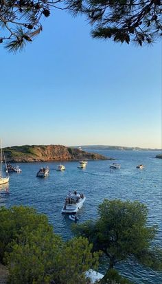 several boats are in the water near some trees and cliffs on a sunny day with blue sky