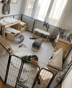 there is a room that has some kind of caged animals in it and many other things on the floor