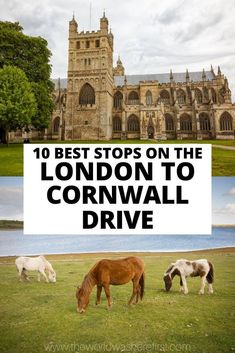 horses grazing in front of a castle with the words 10 best stops on the london to cornwall drive