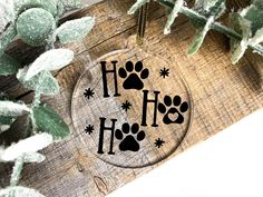 an image of a dog's paw print on a wooden surface with plants and snow